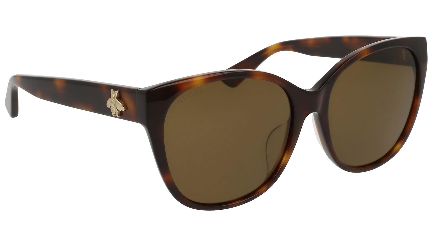 GG0097SA shiny tortoise and brown