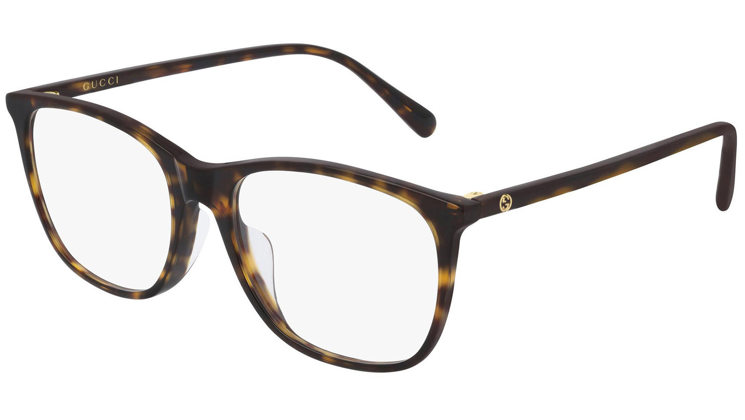 GG0555OA 002 shiny tortoise