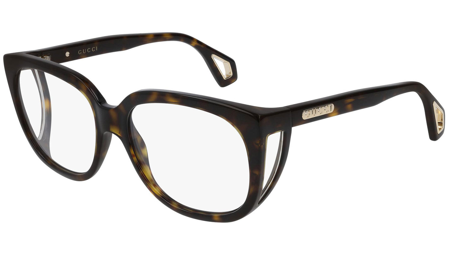 GG0470O 002 shiny tortoise