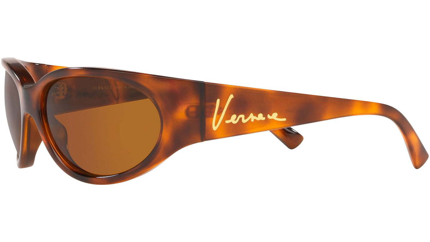 VE4386 511973 tortoise