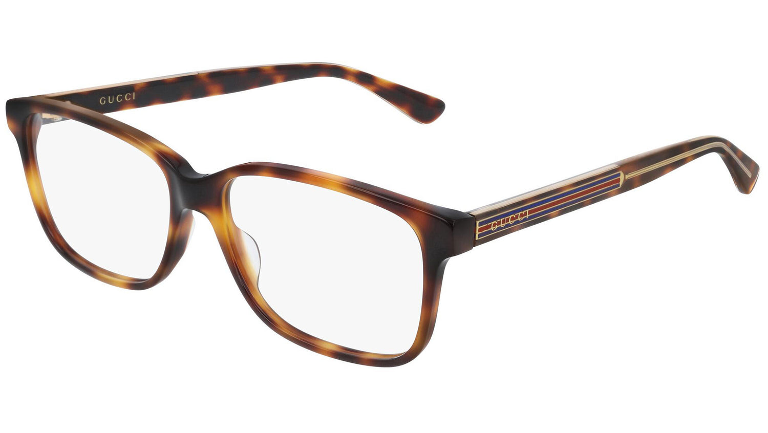 GG0530O 003 shiny tortoise