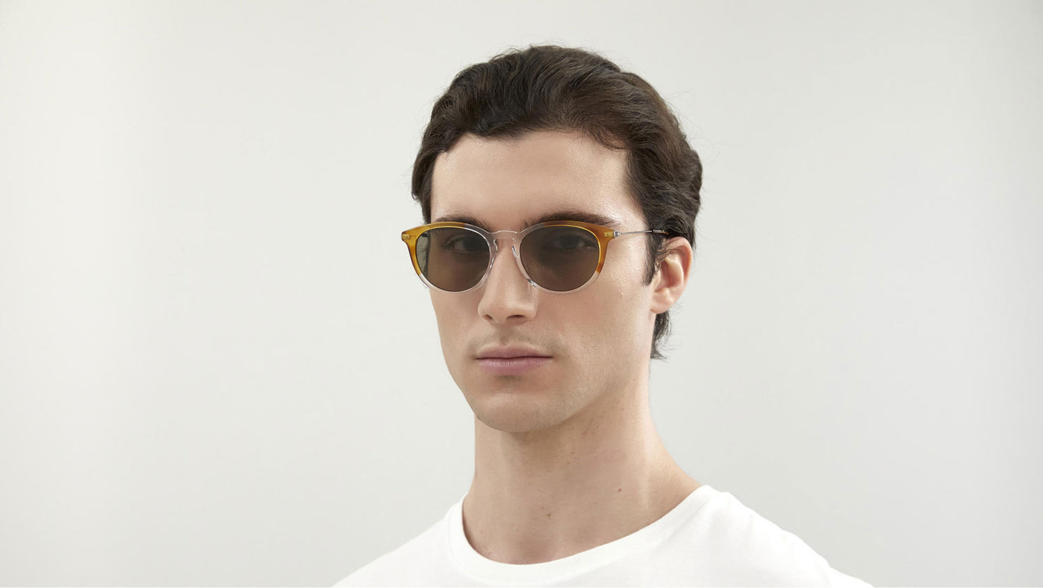 GG1048S 004 crystal tortoise