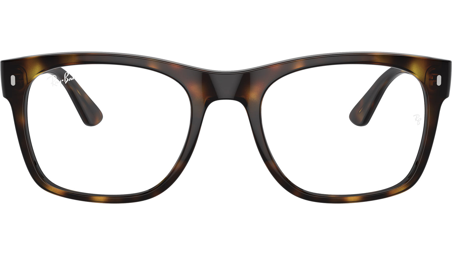 RB7228 Optics 2012