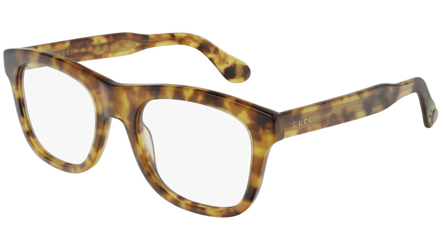 GG0480O 003 shiny tortoise