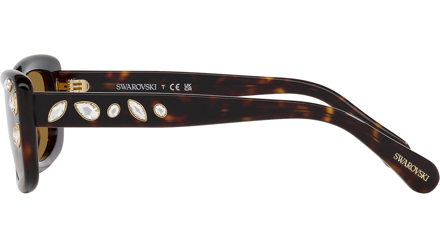 SK6008 100273