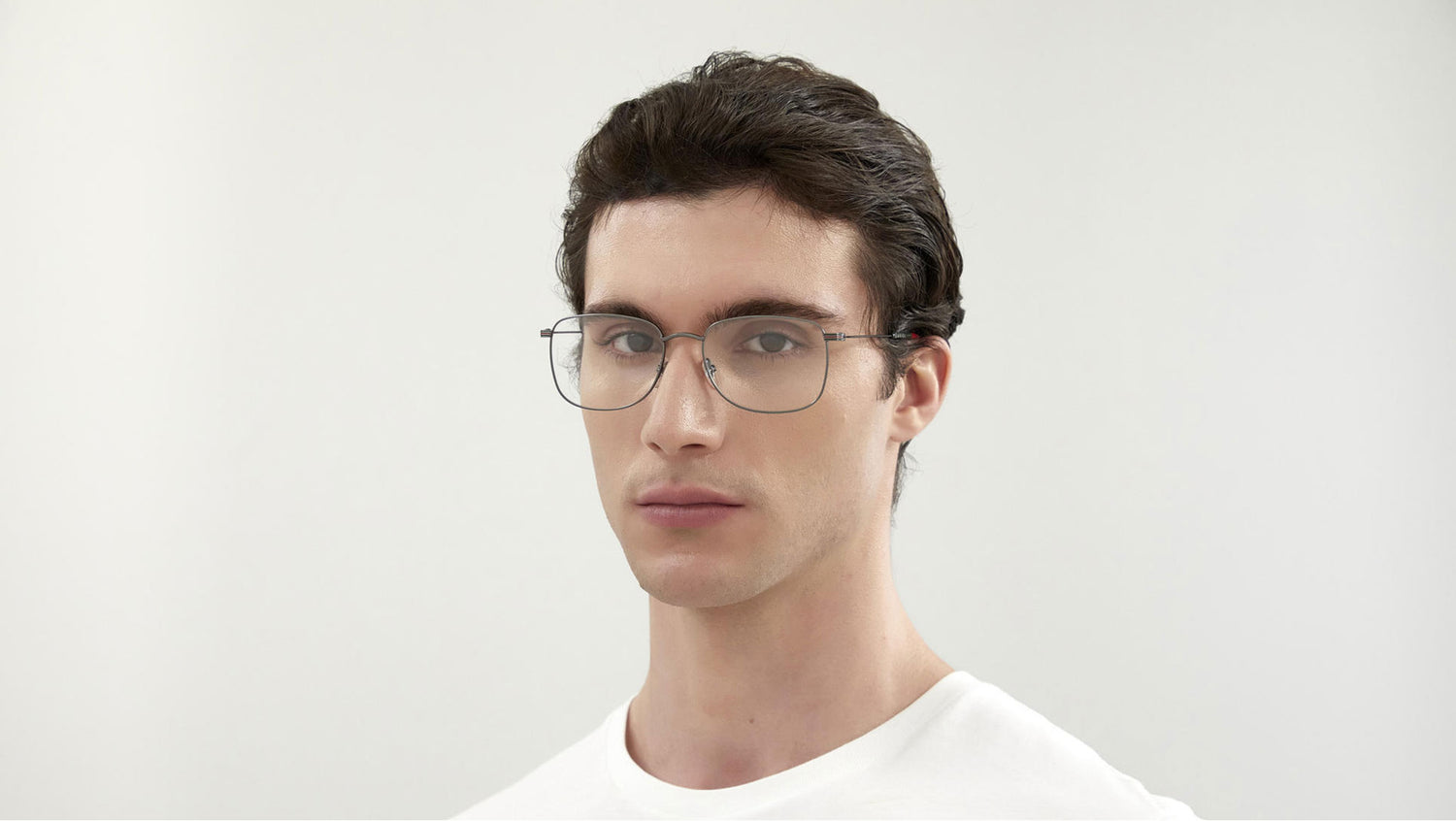 GG1052O 005 shiny ruthenium