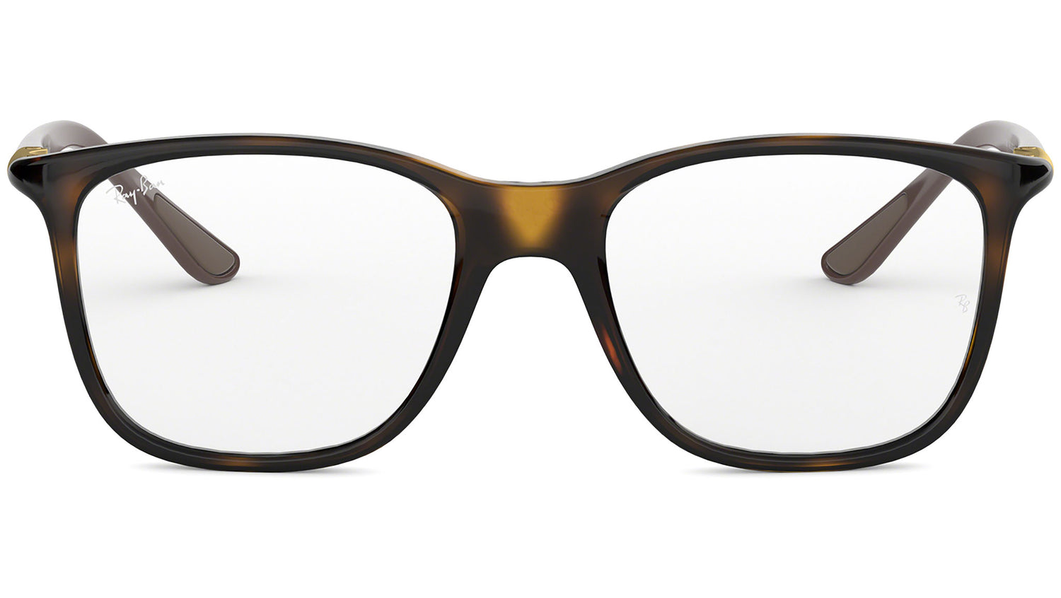 RB7143 tortoise