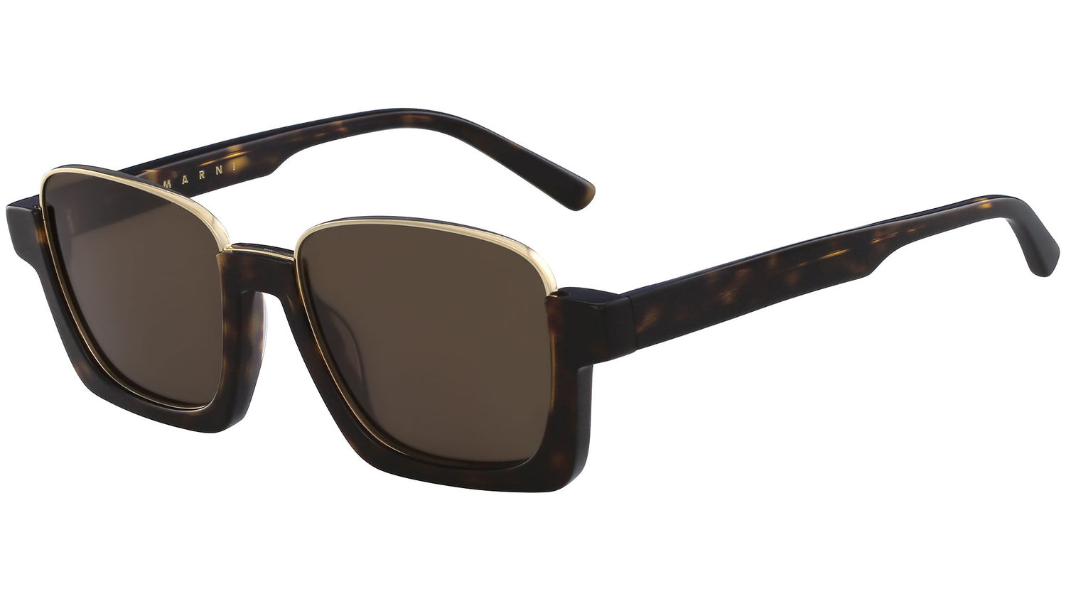 ME613S 219 tortoise and shiny gold