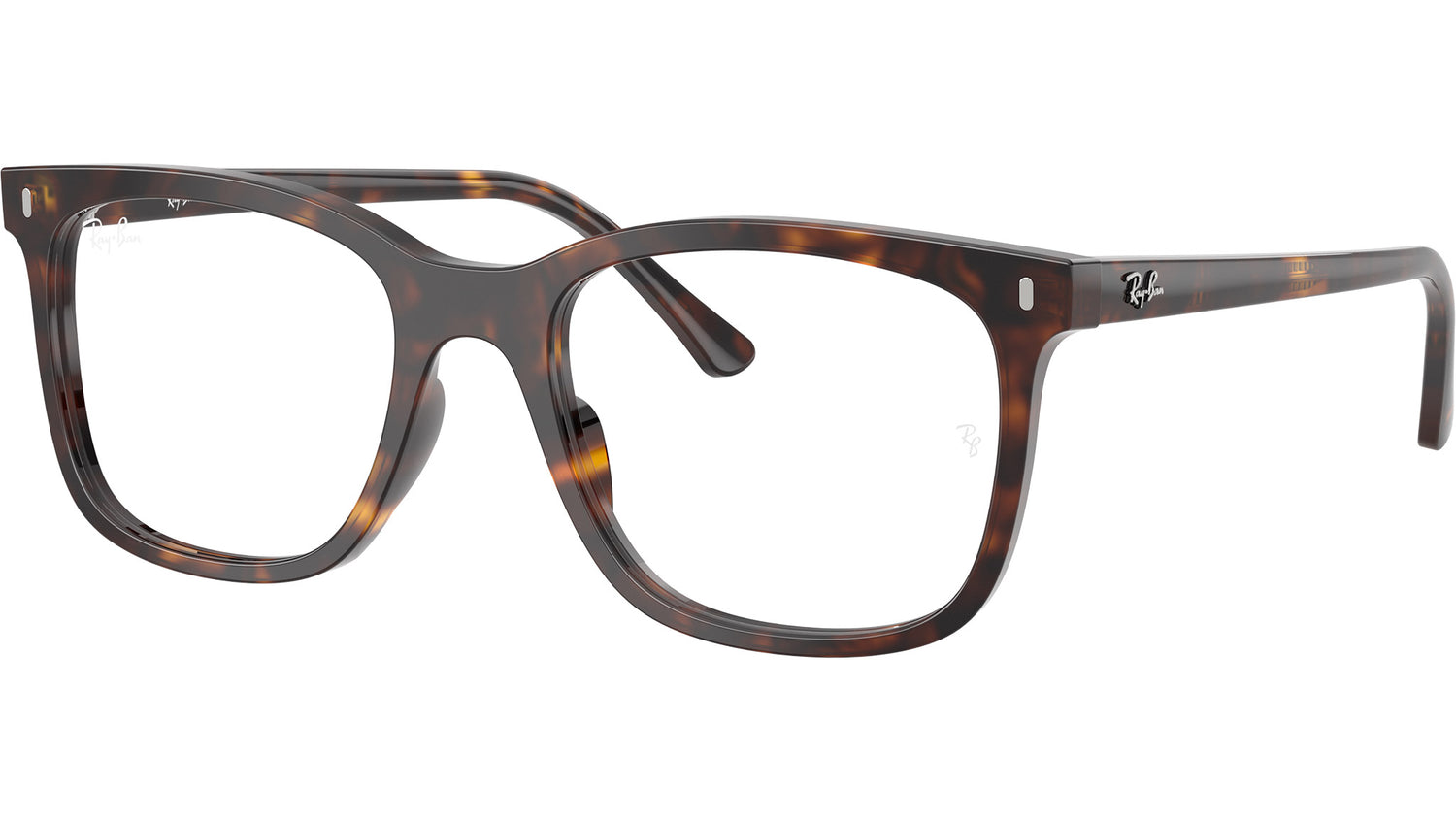 RB5446 Optics 2012