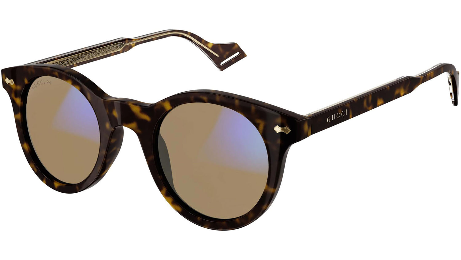 GG0736S 005 shiny tortoise