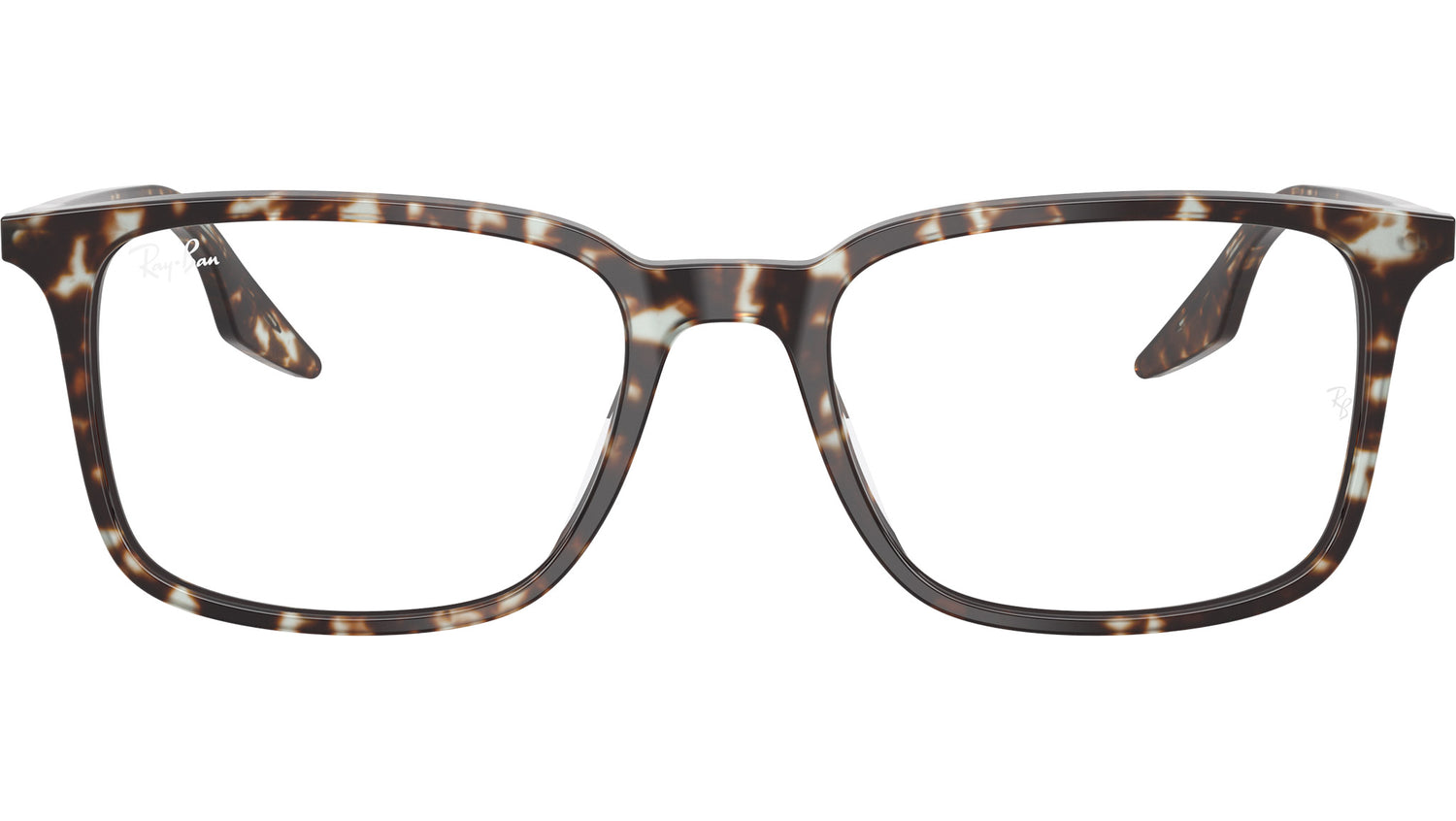 RB5421 Optics 8425