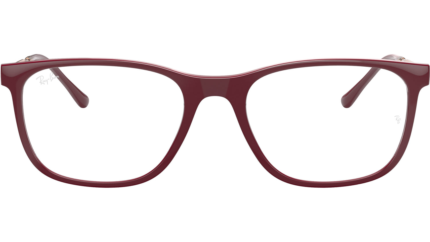 RB7244 Optics 8099