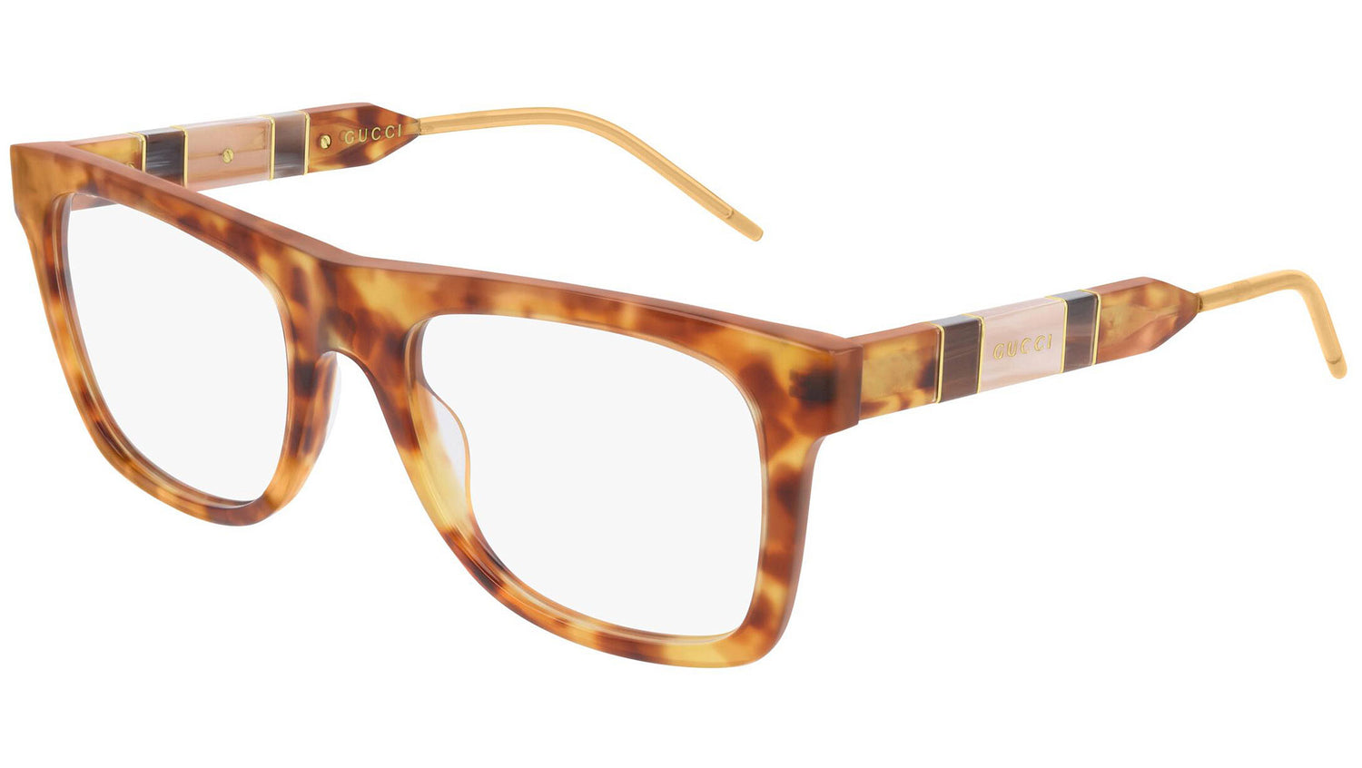 GG0604O 004 tortoise