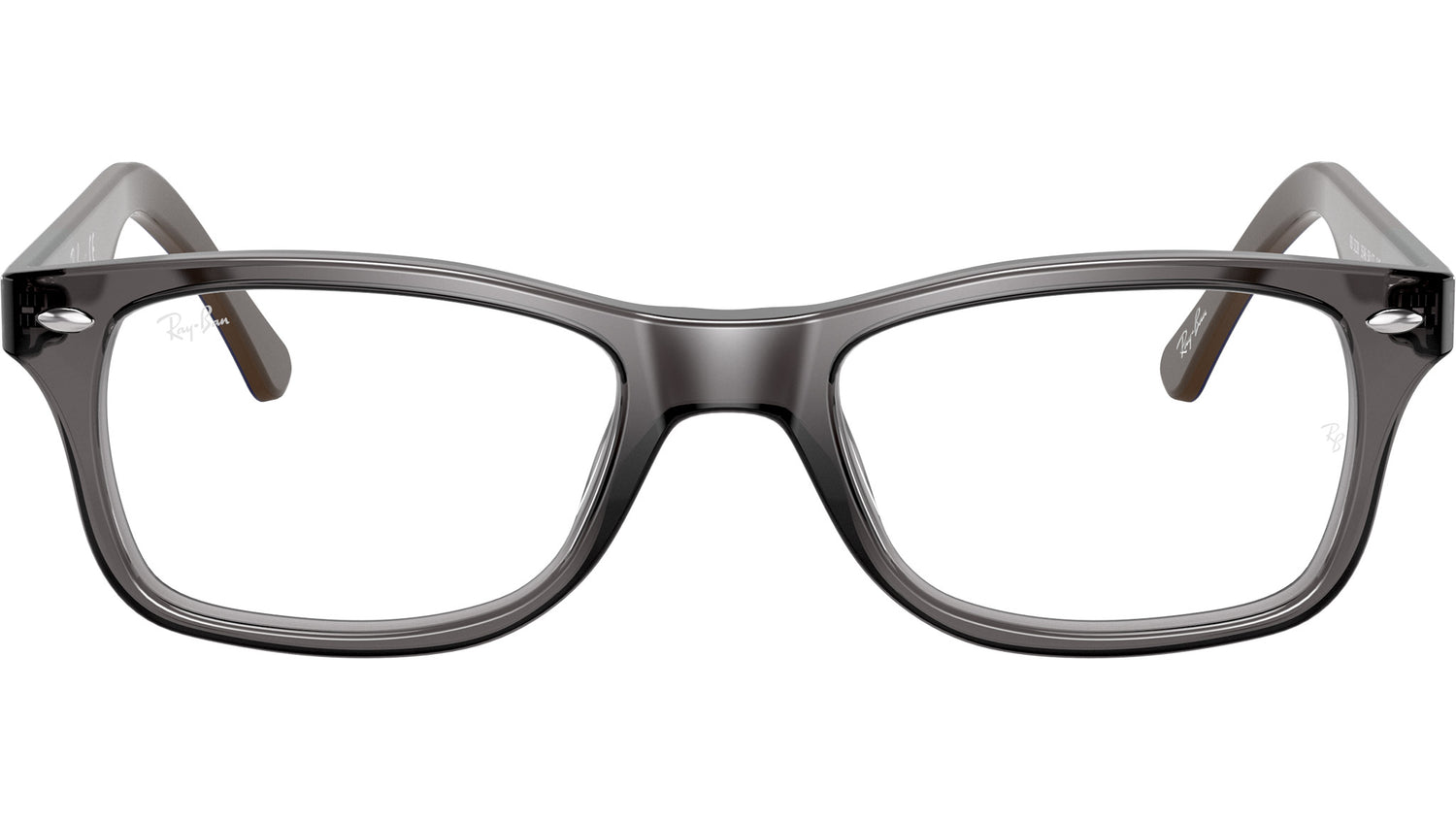 RB5228 Optics 5546