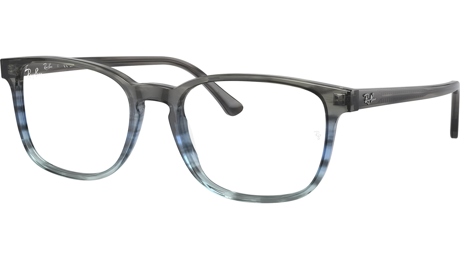 RB5418 Optics 8254