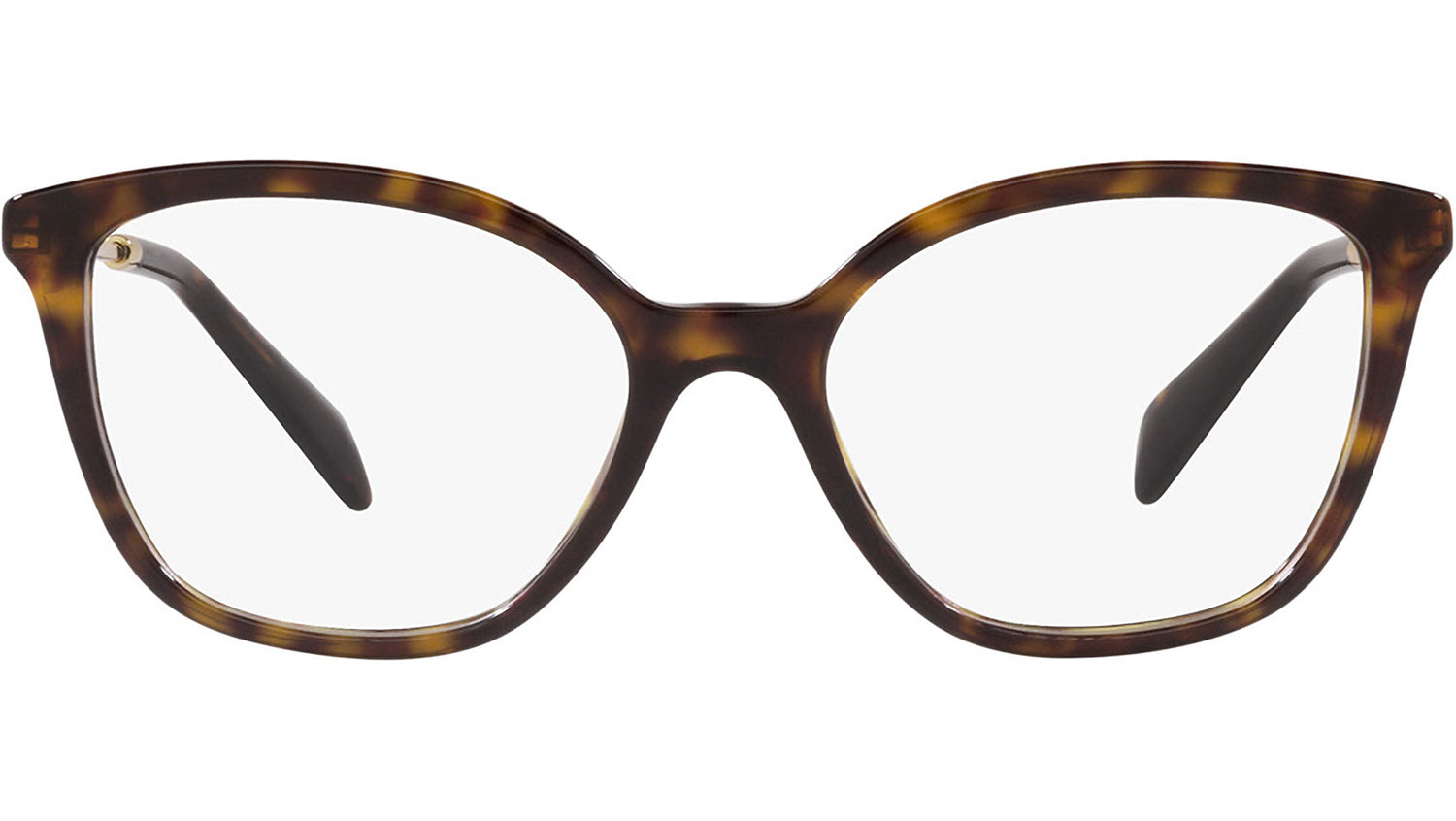 PR 02ZV tortoise