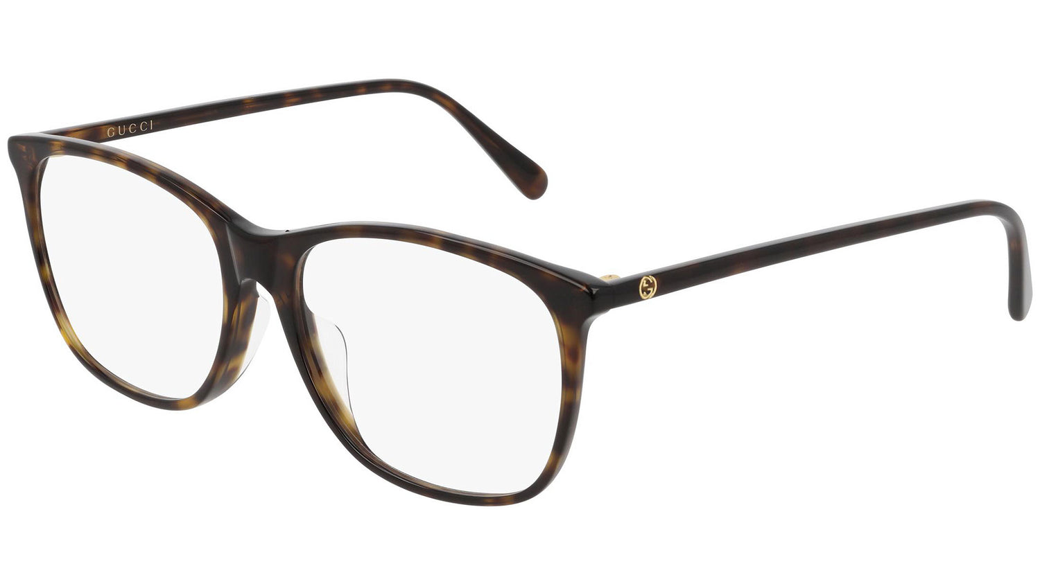 GG0555OA 006 shiny tortoise