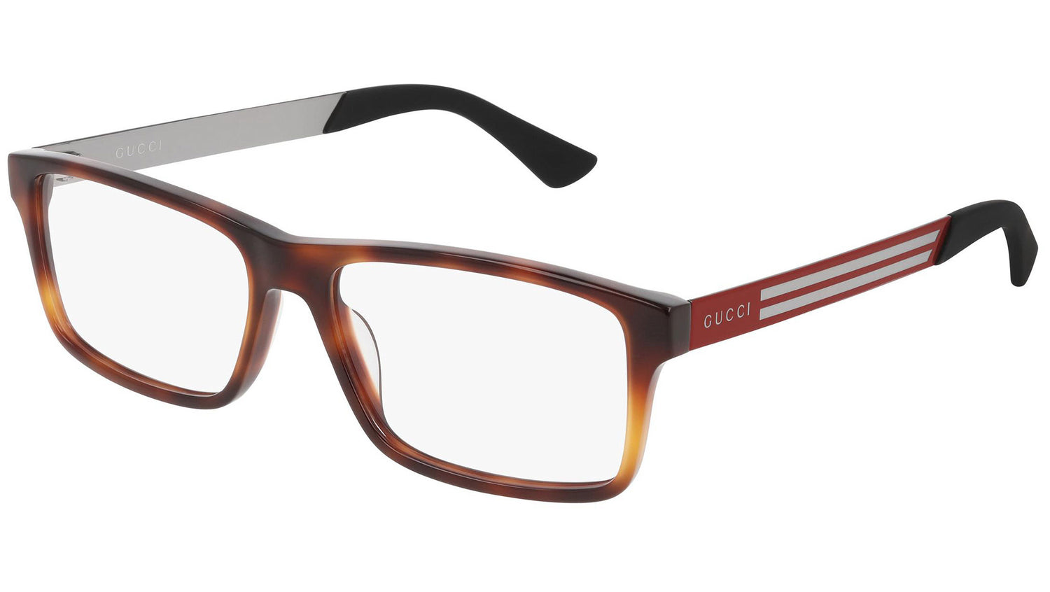 GG0692O 003 shiny tortoise