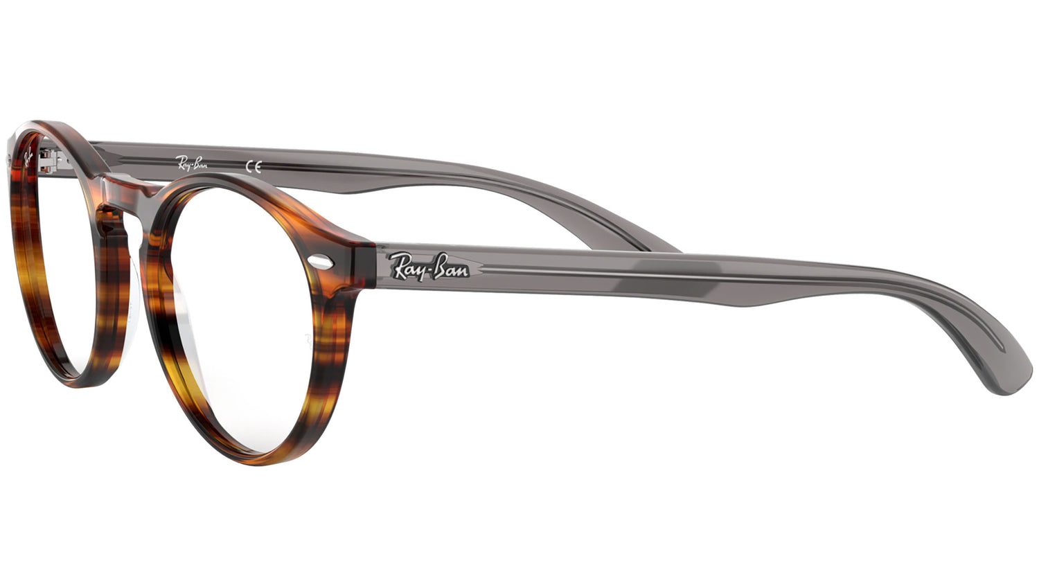 RB5283 tortoise