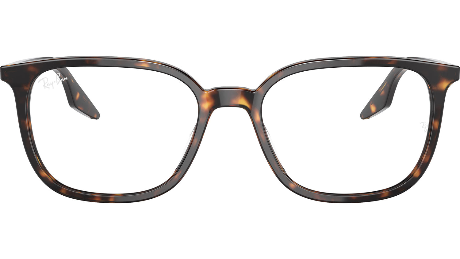 RB5406 Optics 2012