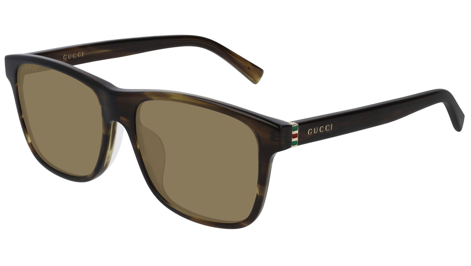 GG0451SA brown tortoise and nicotine