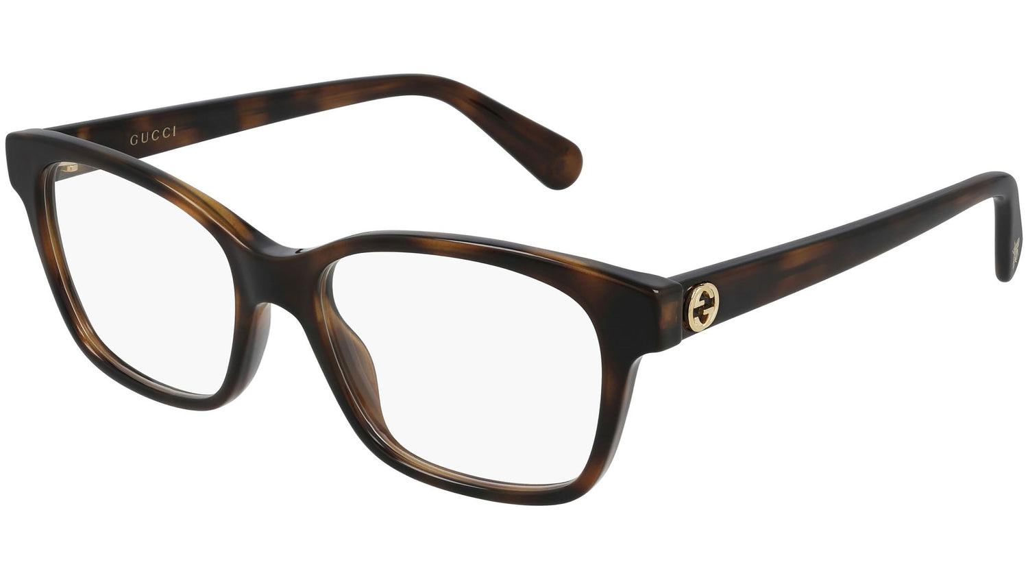 GG0922O 002 shiny tortoise