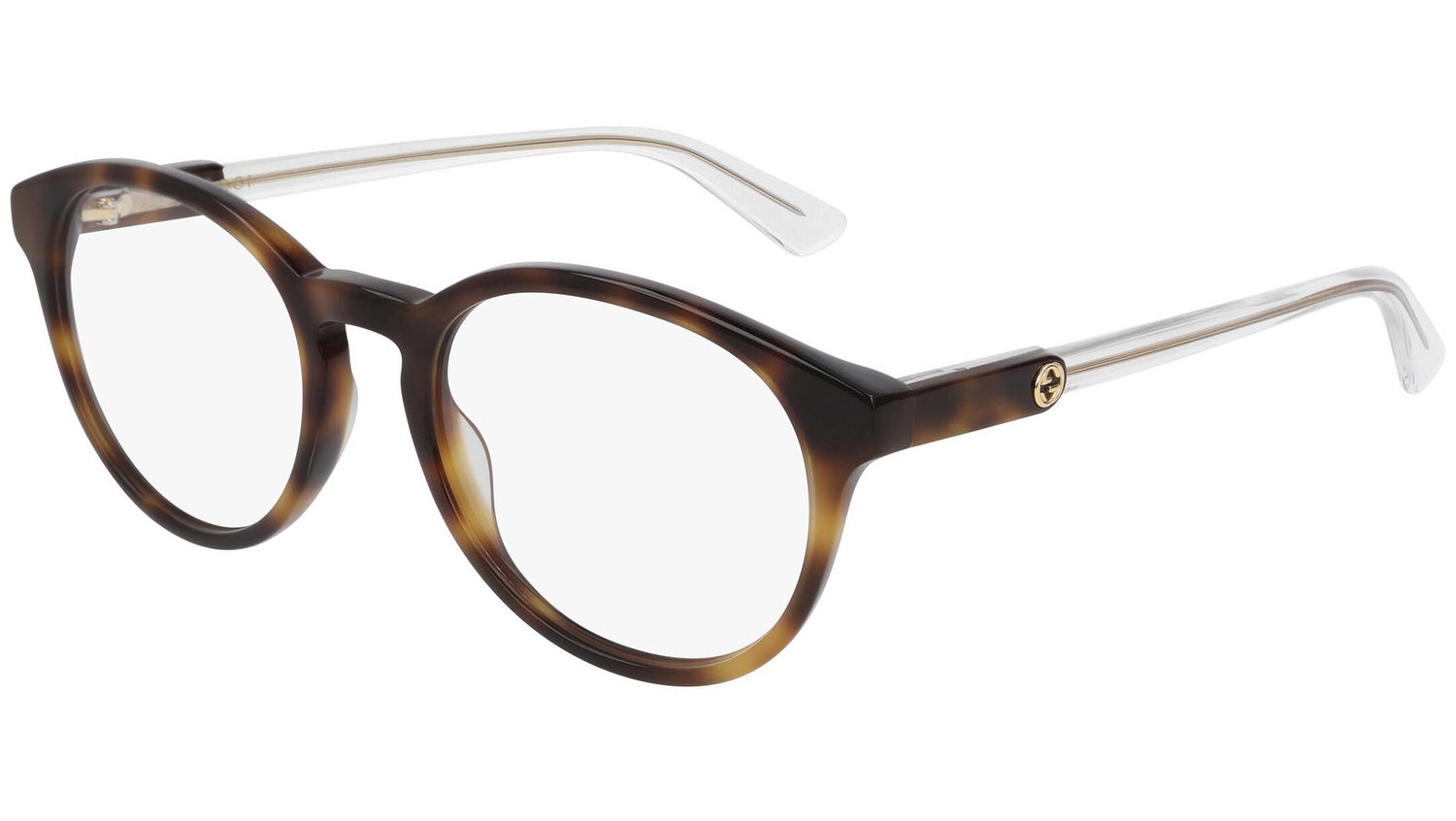 GG0485O 003 shiny tortoise