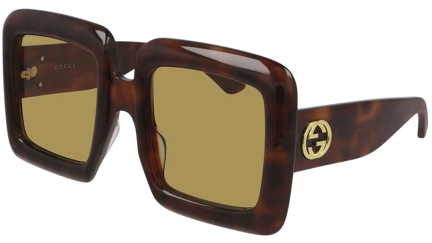 GG0783S 002 shiny tortoise