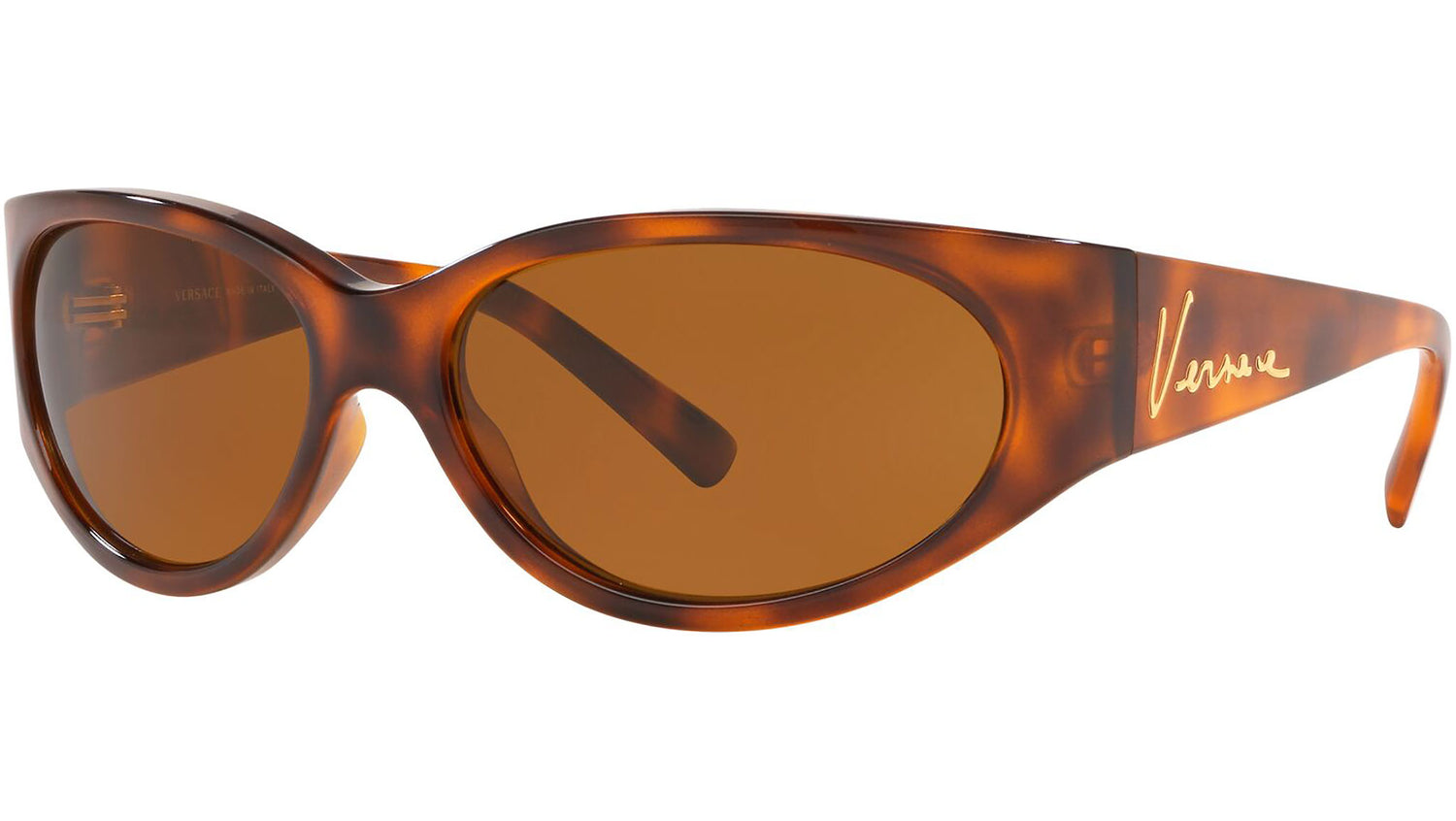VE4386 511973 tortoise