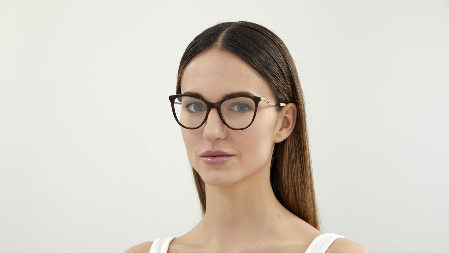 GG1007O 001 shiny tortoise