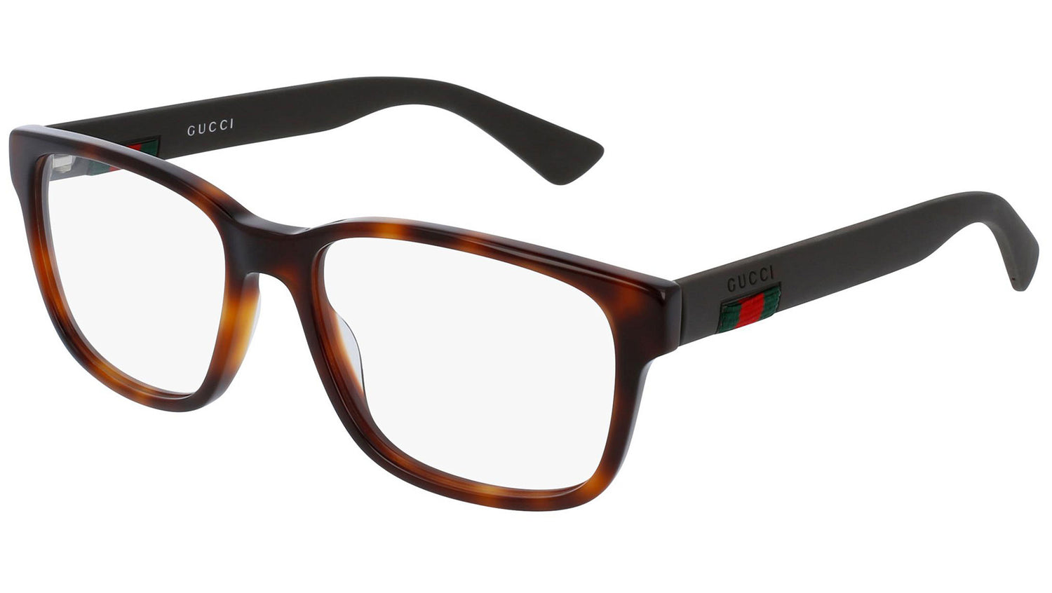 GG0011O 006 shiny tortoise