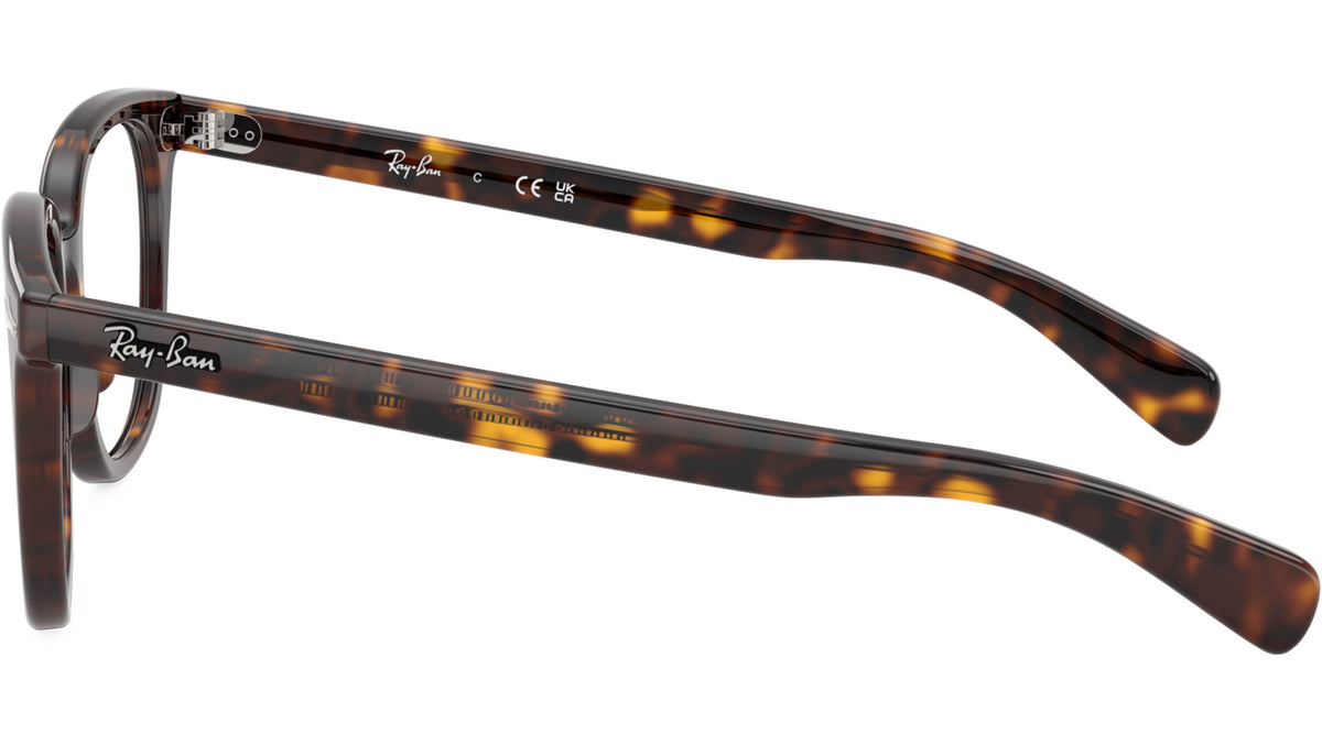Brunel II Optics RB 5535 2012