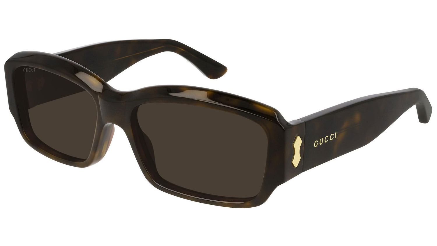 GG0669S brown tortoise and dark brown