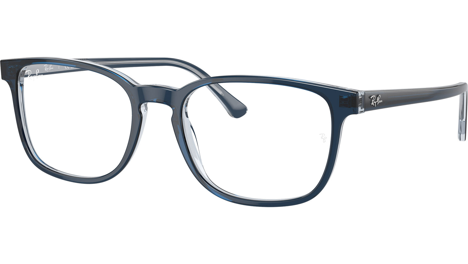 RB5418 Optics 8324