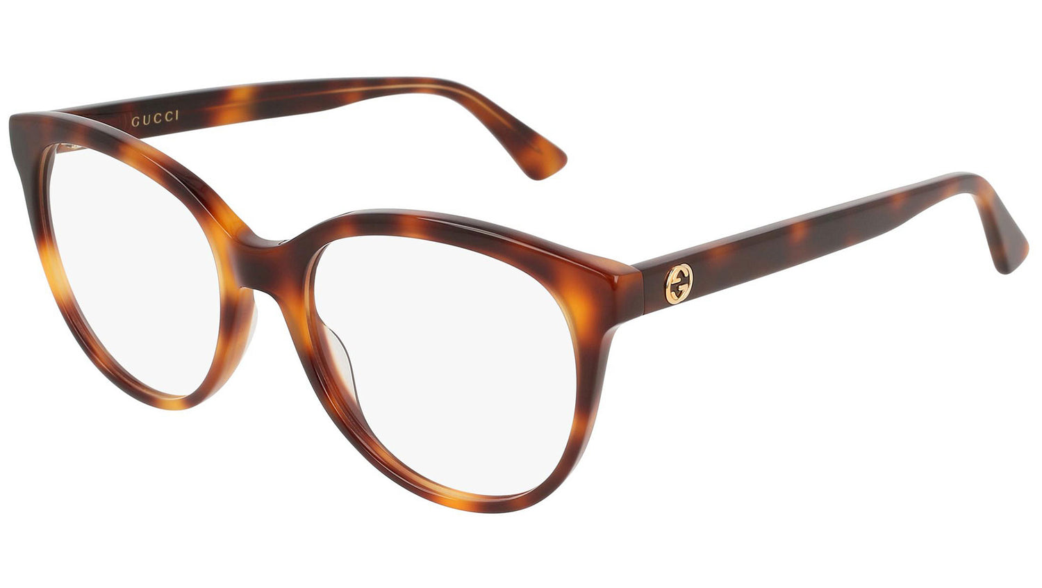 GG0329O 002 shiny tortoise