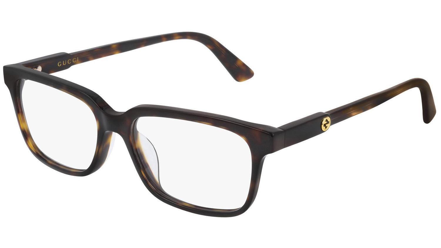 GG0557OJ 002 dark tortoise