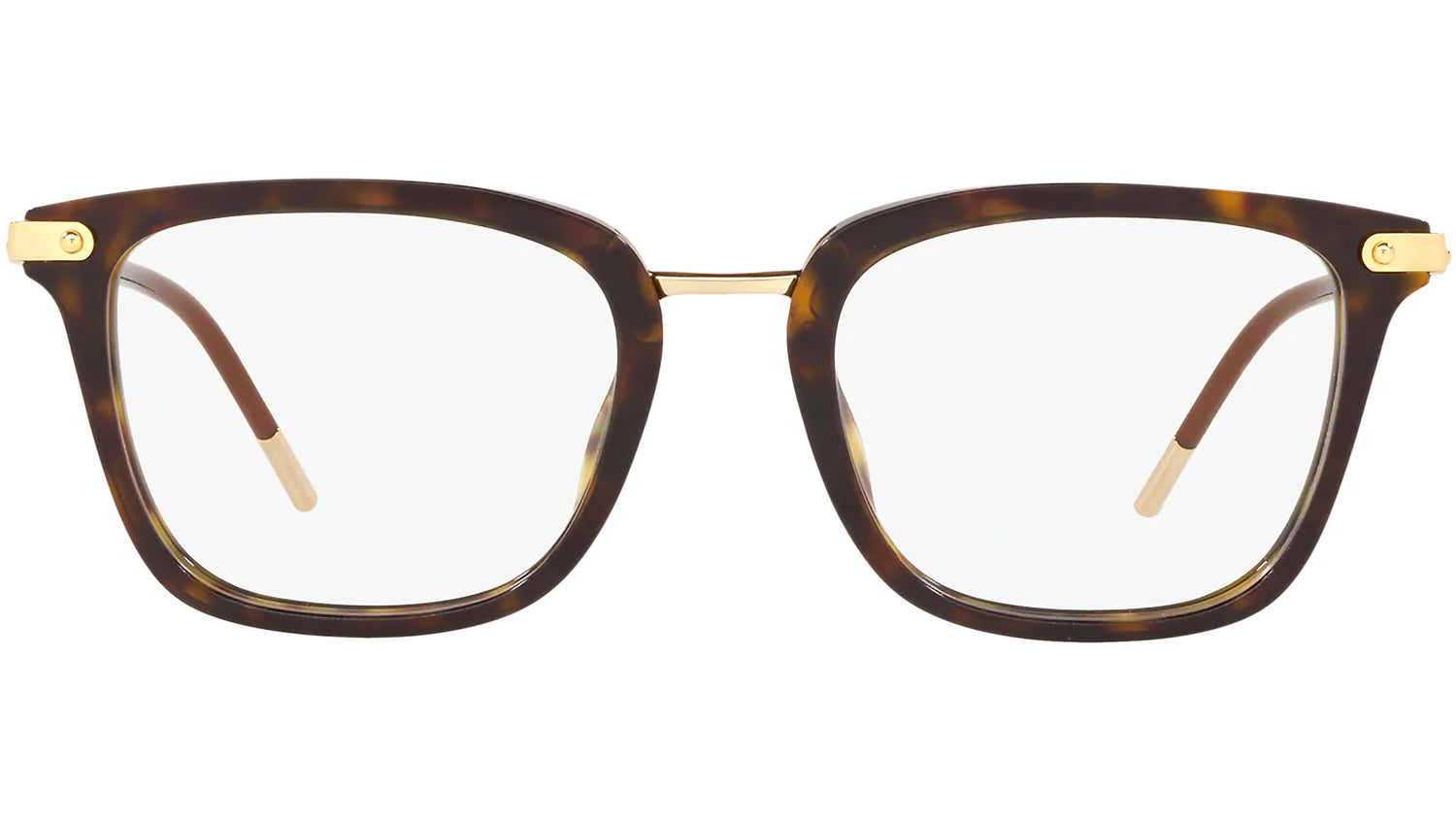 DG 3319 502 tortoise
