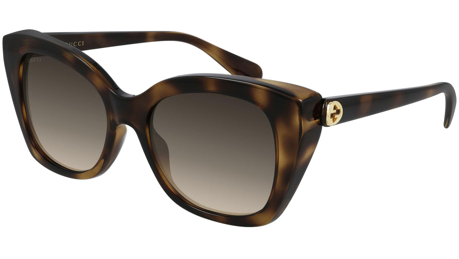 GG0921S 002 shiny tortoise