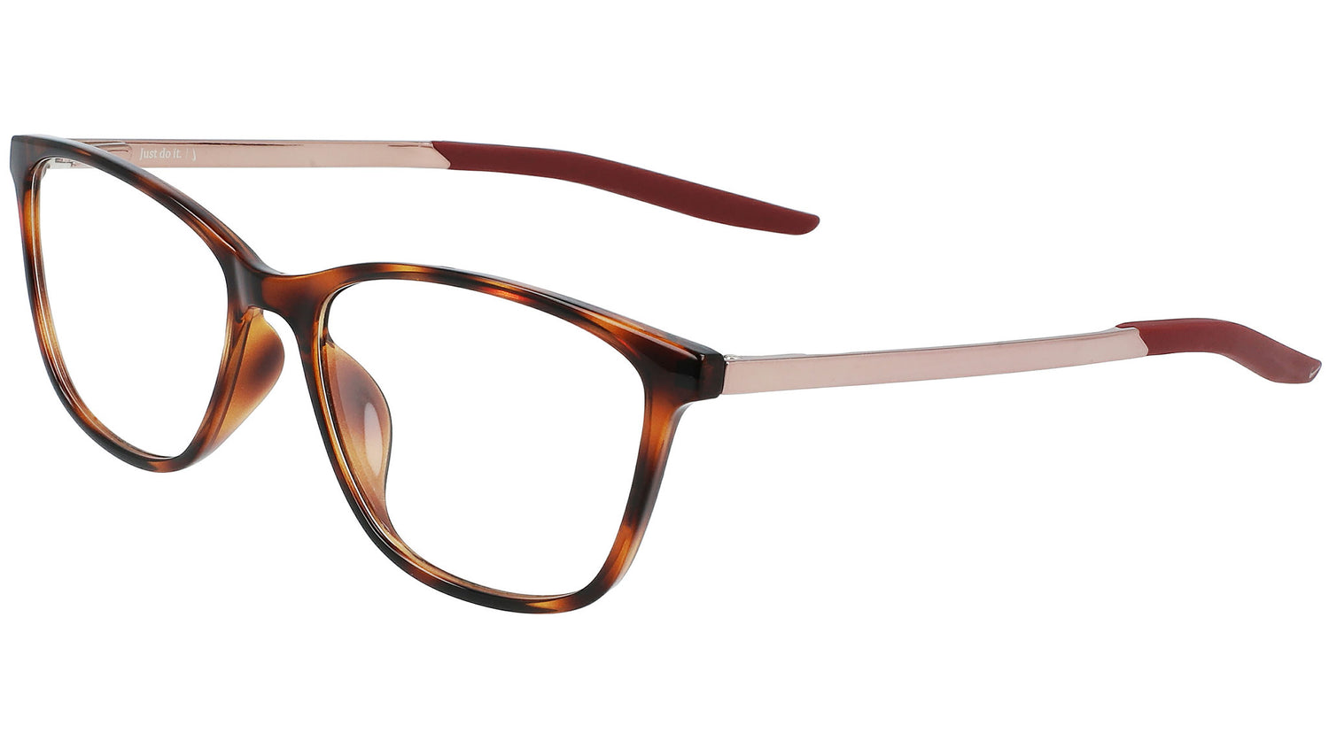 7284 244 tortoise