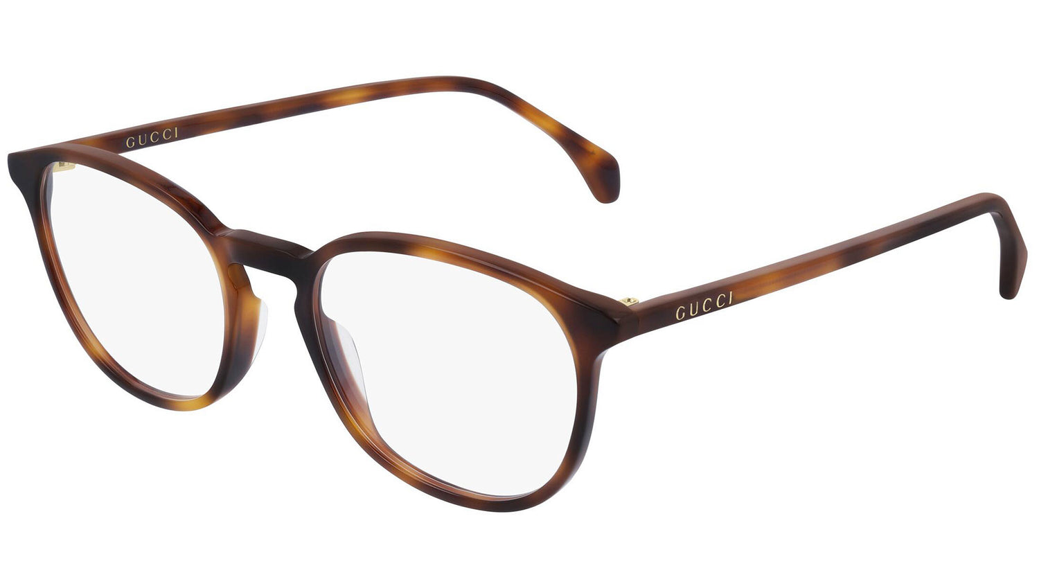 GG0551O 007 tortoise