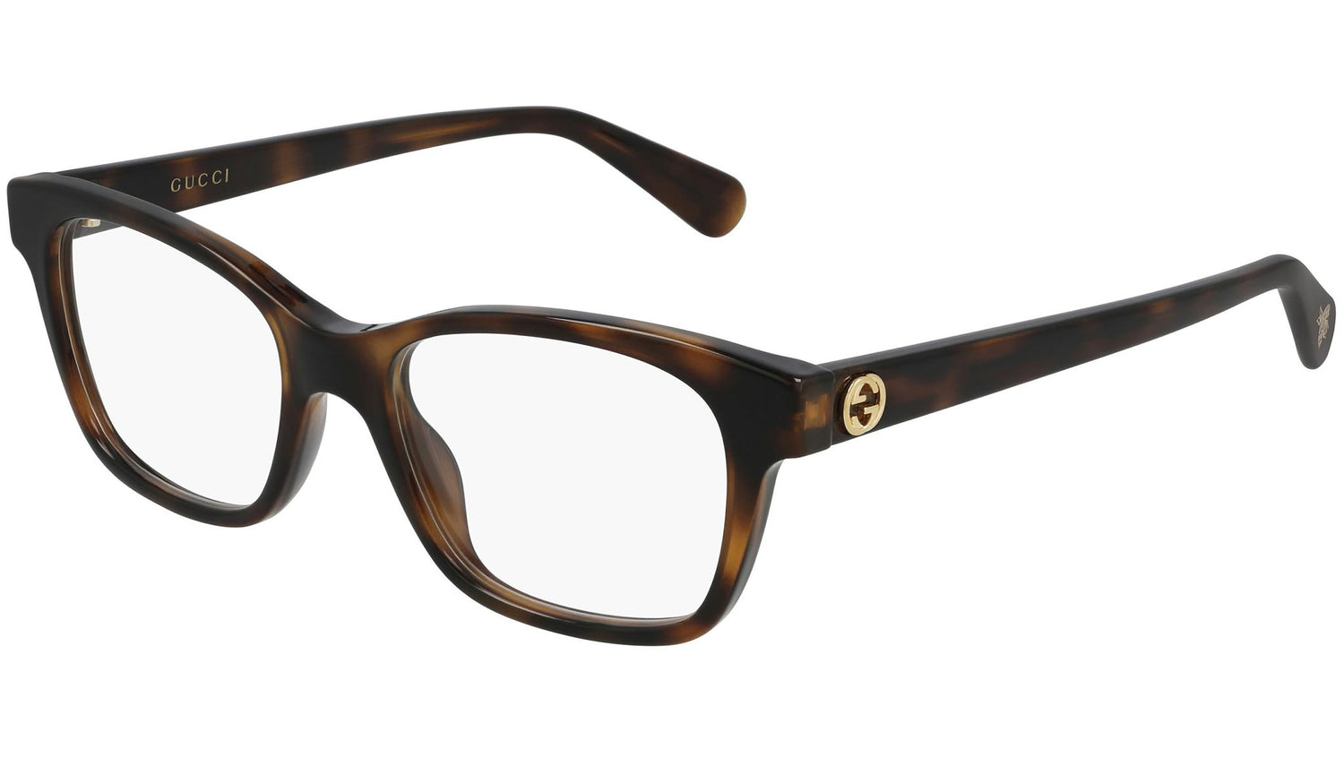 GG0922O 002 shiny tortoise