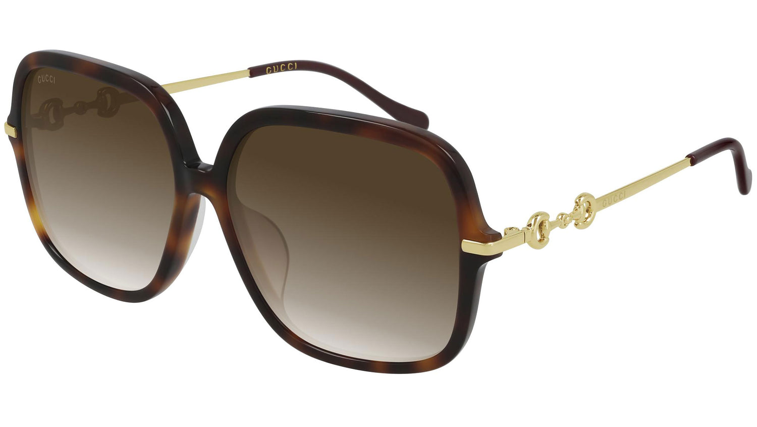 GG0884SA 002 shiny tortoise