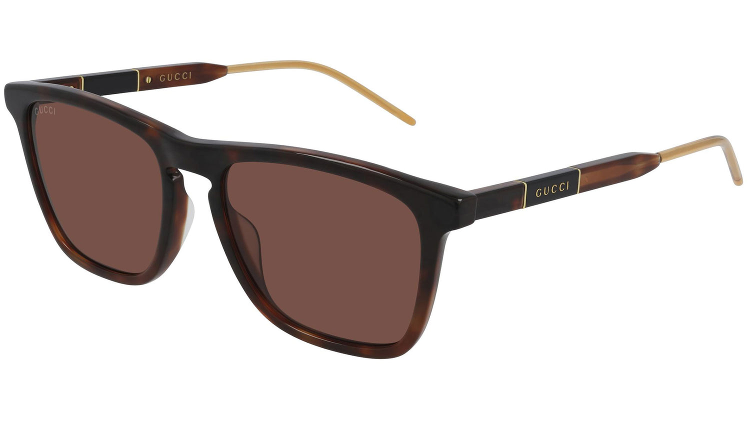 GG0843S 002 brown tortoise