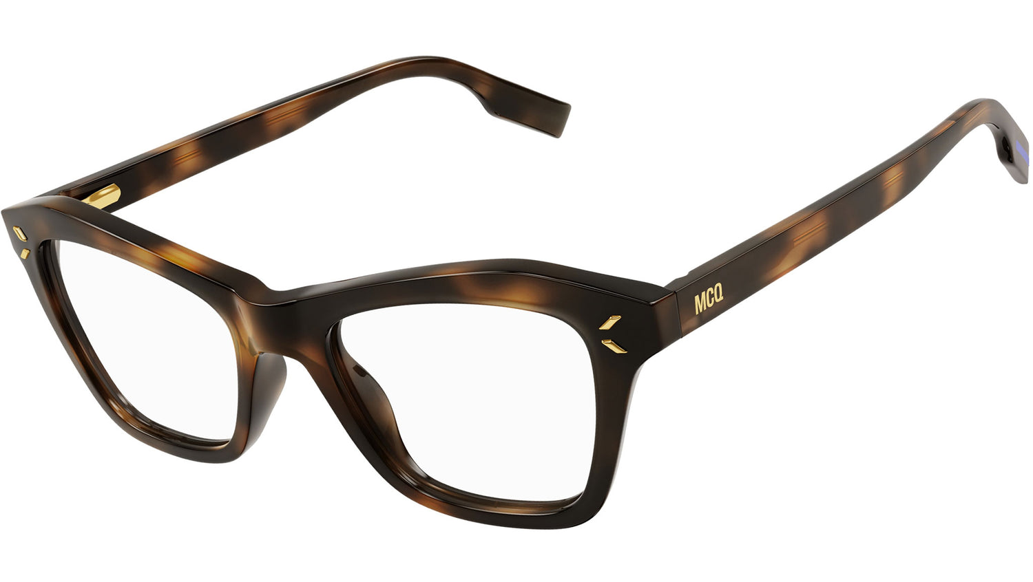MQ0388O shiny tortoise