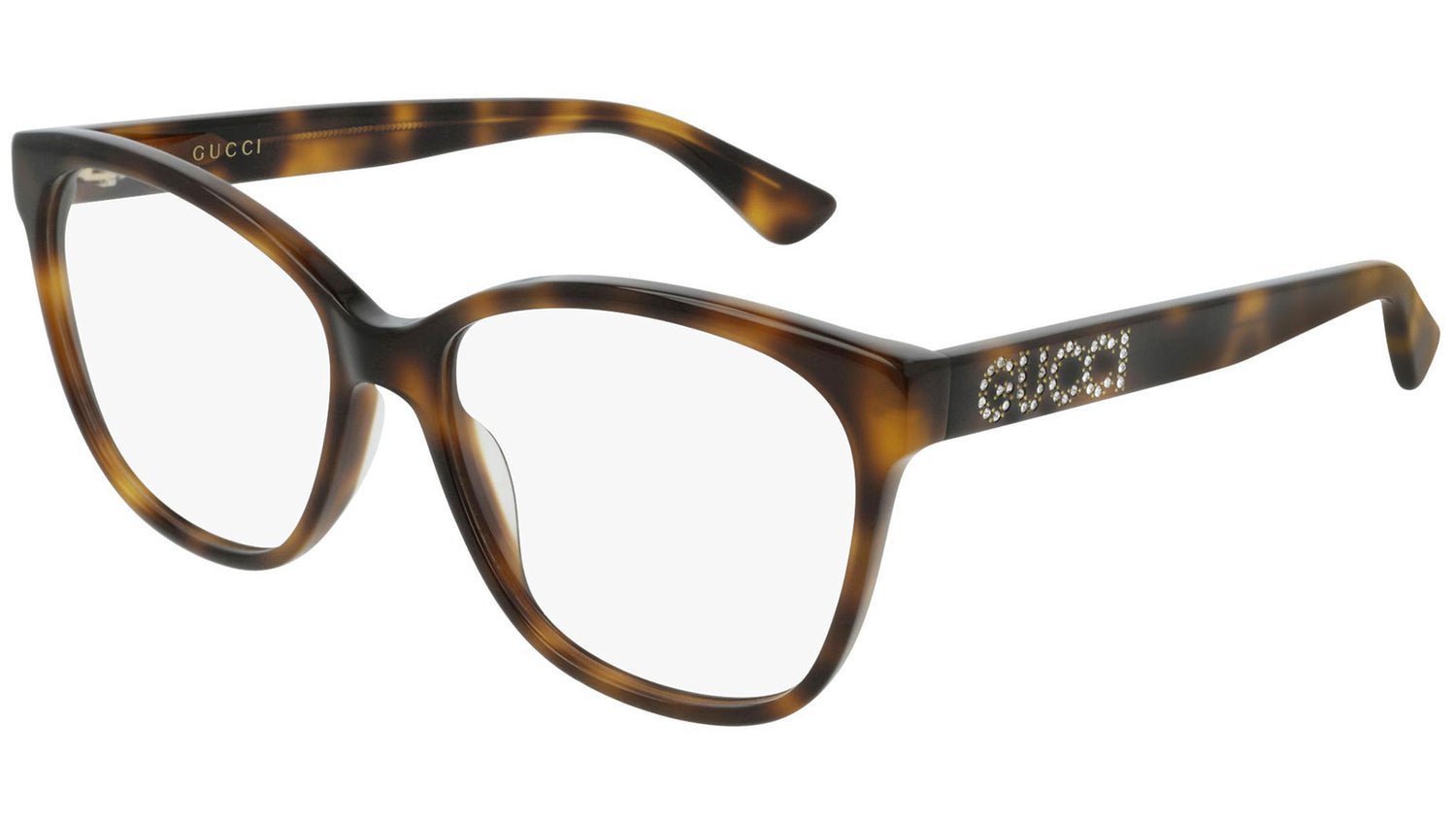 GG0421O 002 shiny tortoise