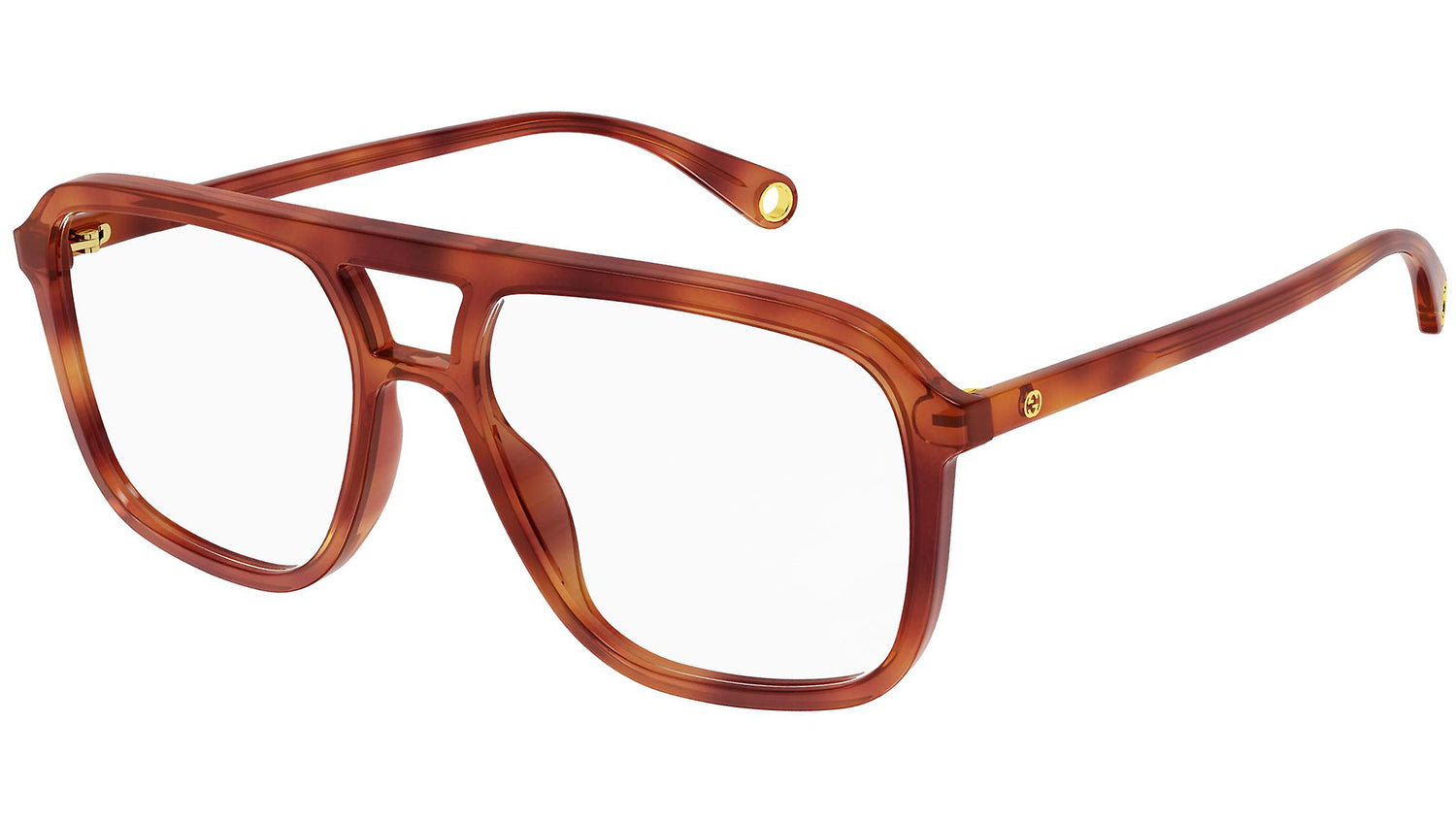 GG1078O 002 shiny tortoise