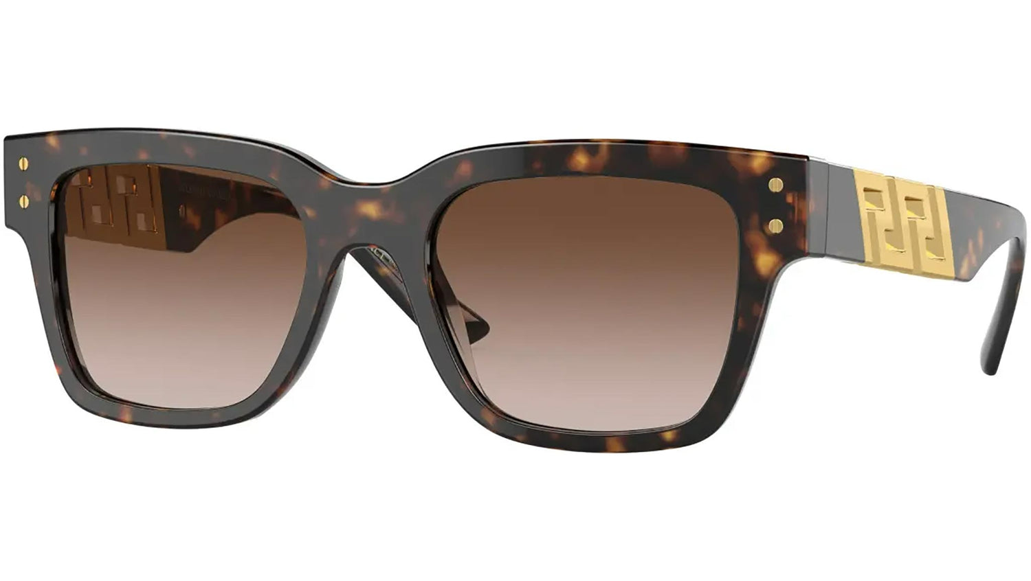 VE4421 108/13 tortoise