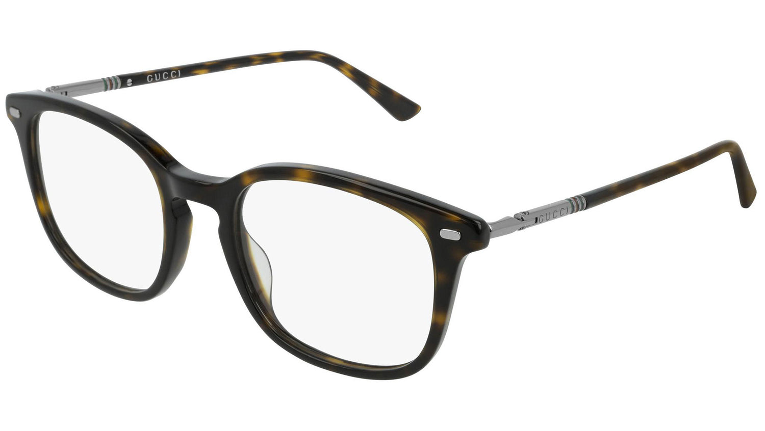 GG0390O 006 shiny tortoise