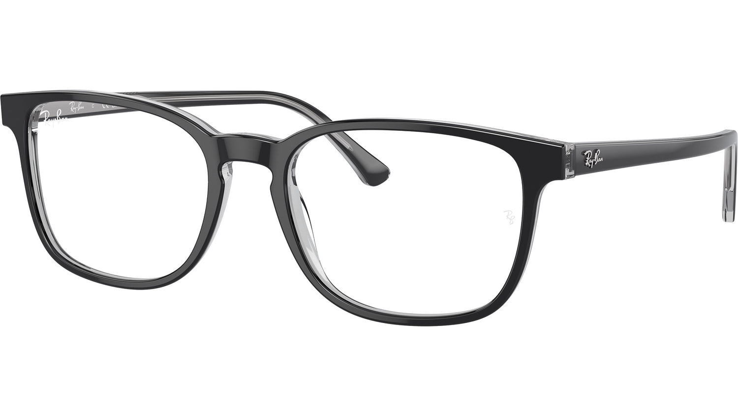 RB5418 Optics 8367