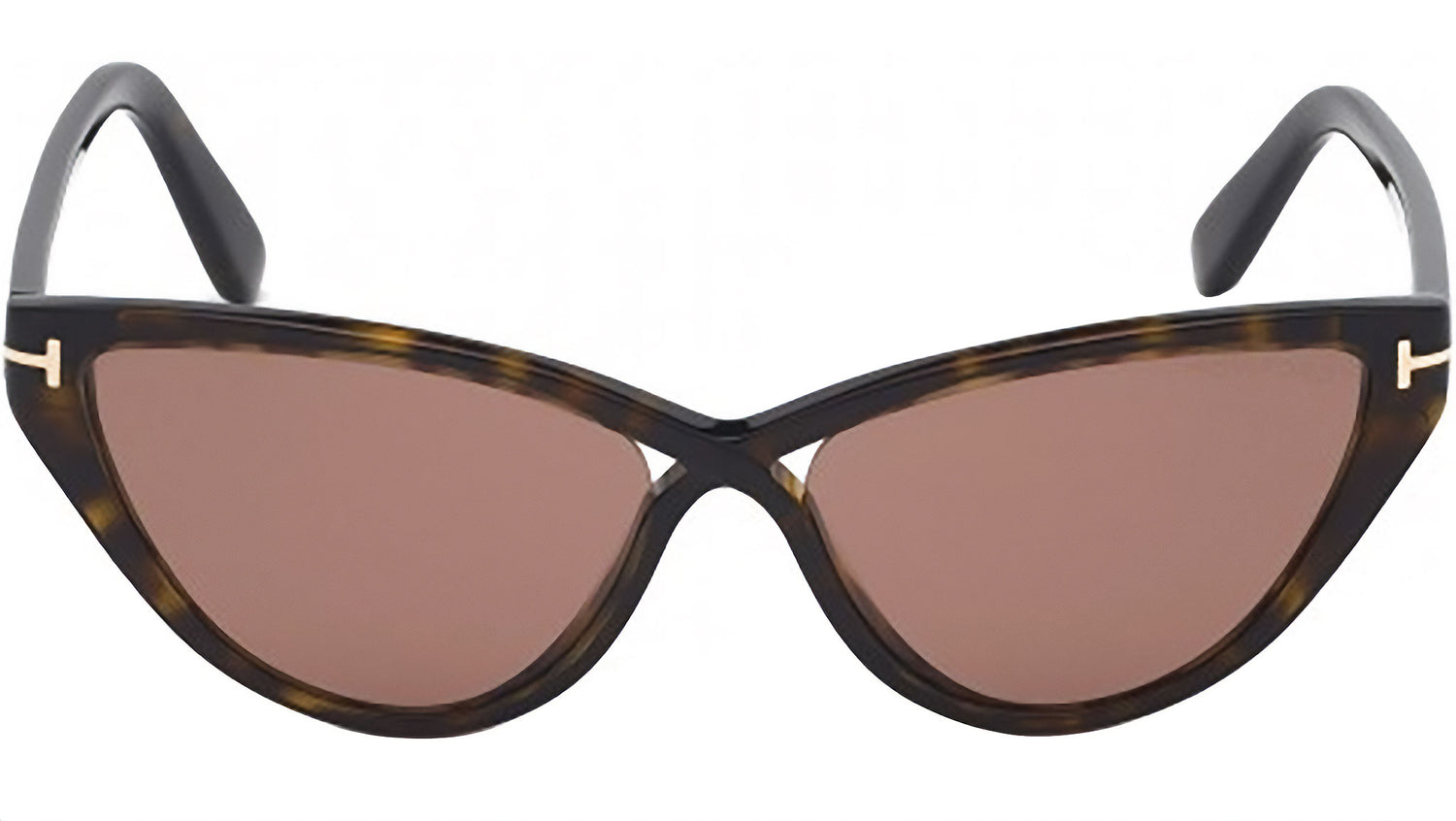 Charlie 02 FT0740 52E Tortoise